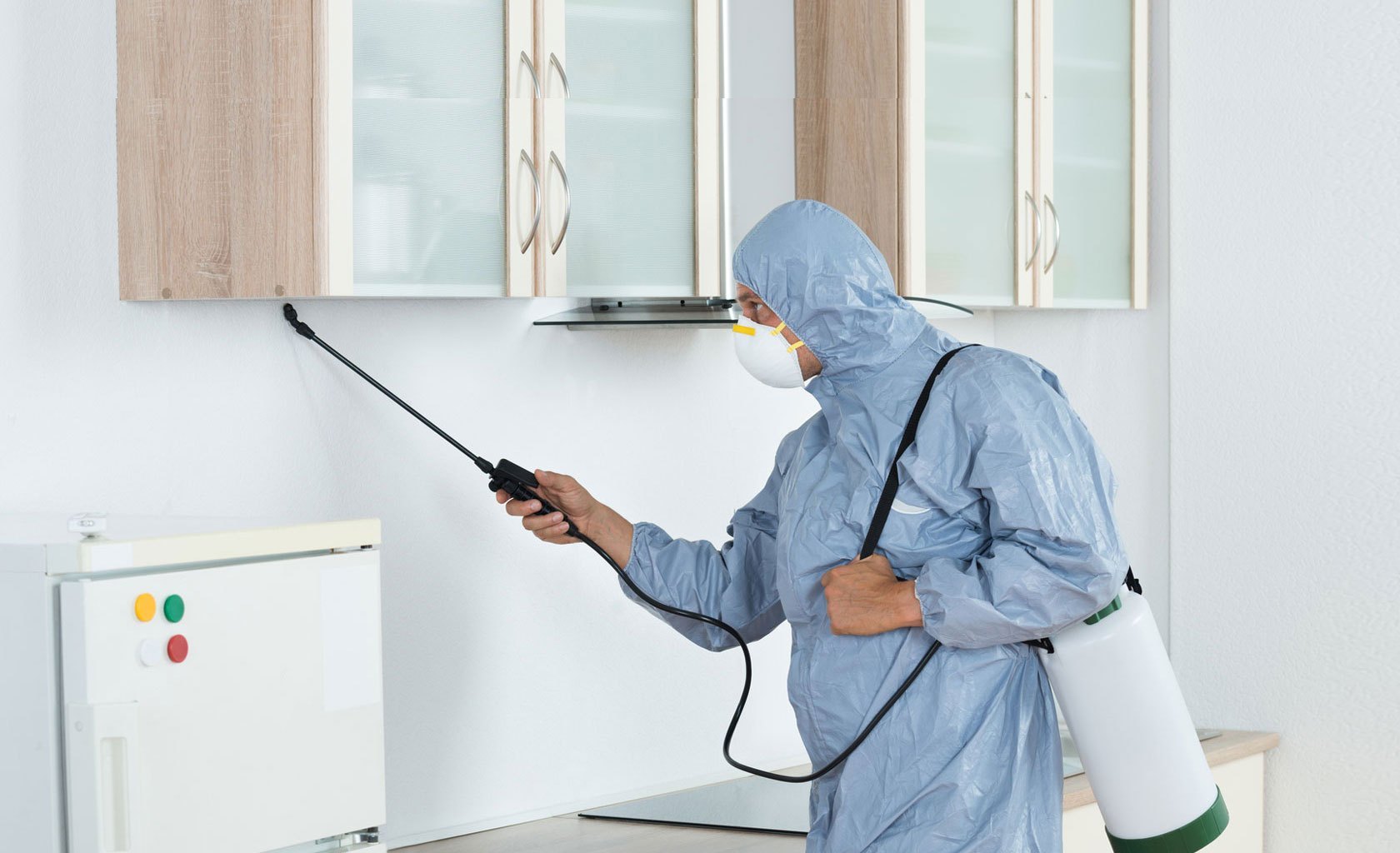 Choosing the Right Pest Control Service Provider: A Complete Guide