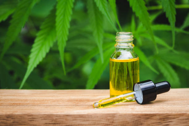 Where to Buy CBD Oil in Canada: Trusted Sources and Tips